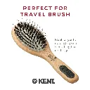 KENTbrush.webp