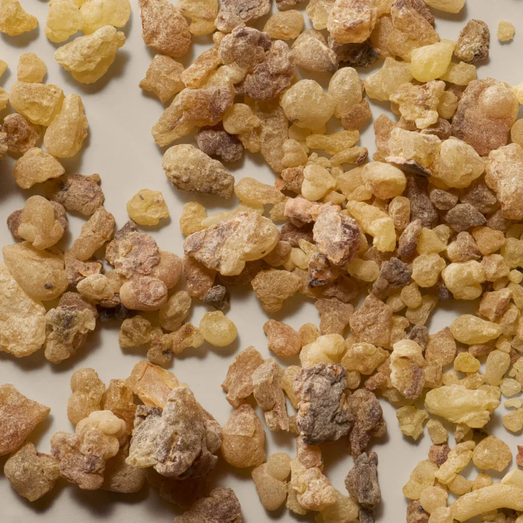 Aesop_Top_20_2025_PDP_Ingredient_Frankincense_2000x2000px.webp