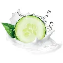 Dove Cool Moist.webp