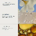 50501_Frangipani_Monoi_Shower_Cream_50ml_Ingredients_V1.webp