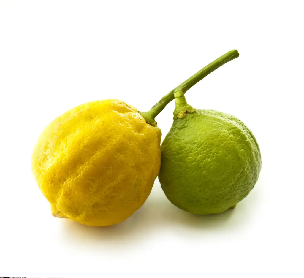 Bergamot.webp