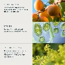 40188_Soothing_Apricot_Toner_200ml_Ingredients_V1.webp