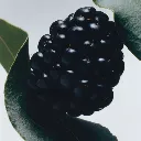 jm_sku_L50M01_3000x3000_2.webp
