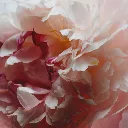 jm_sku_L6F501_3000x3000_2.webp