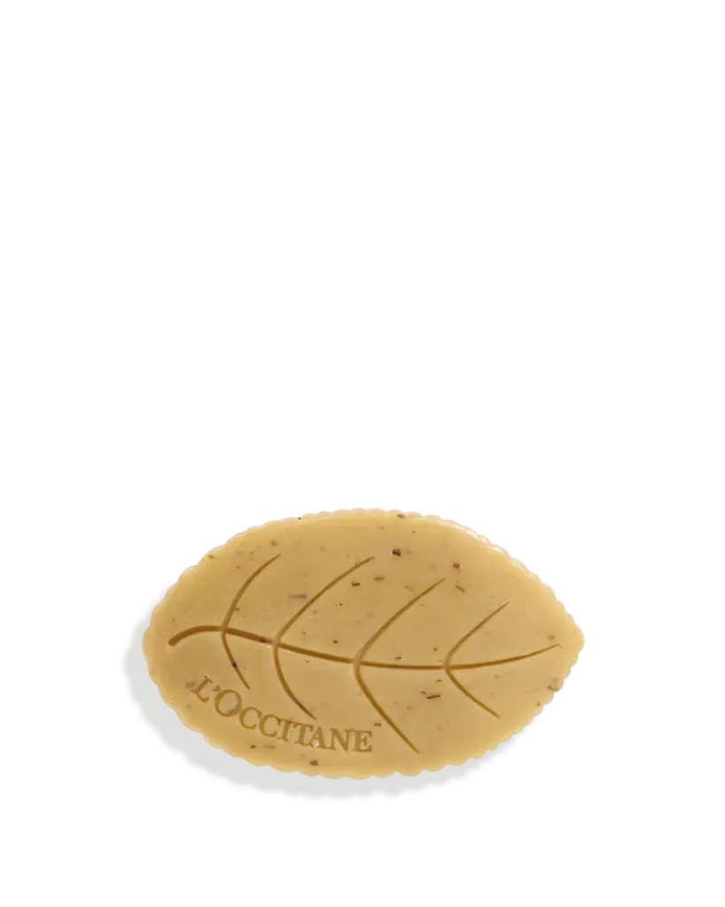 1023_PNG-98BBSA025VE4_RVB.webp