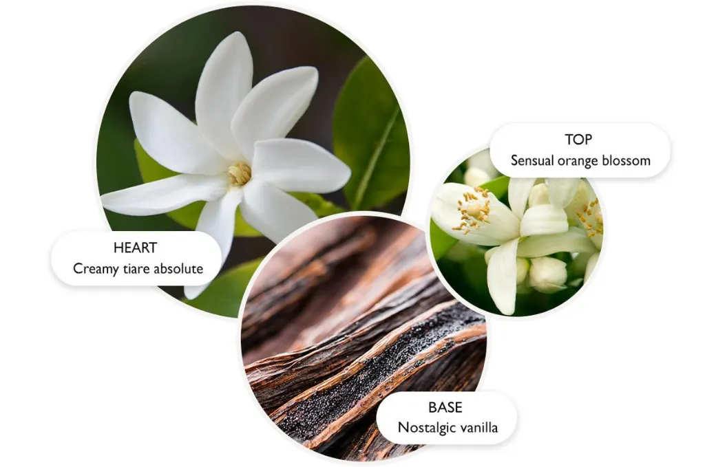 Flora Luminare.webp