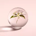 image (24).webp