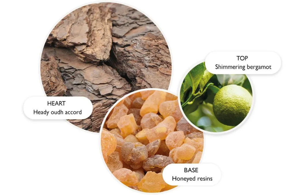 Oudh Accord Gold.webp