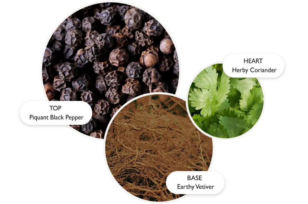 Black Pepper.webp