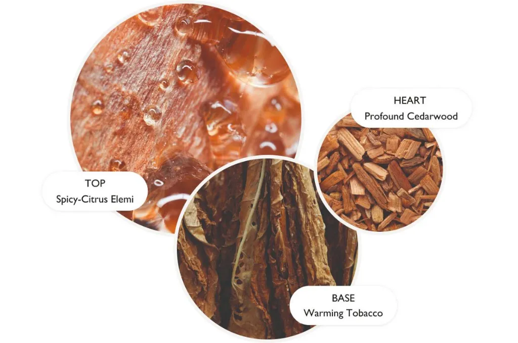 Tobacco Absolute.webp