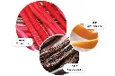 Rhubarb & Rose.webp
