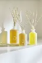 willow_diffuser_lifestyle_imager.webp