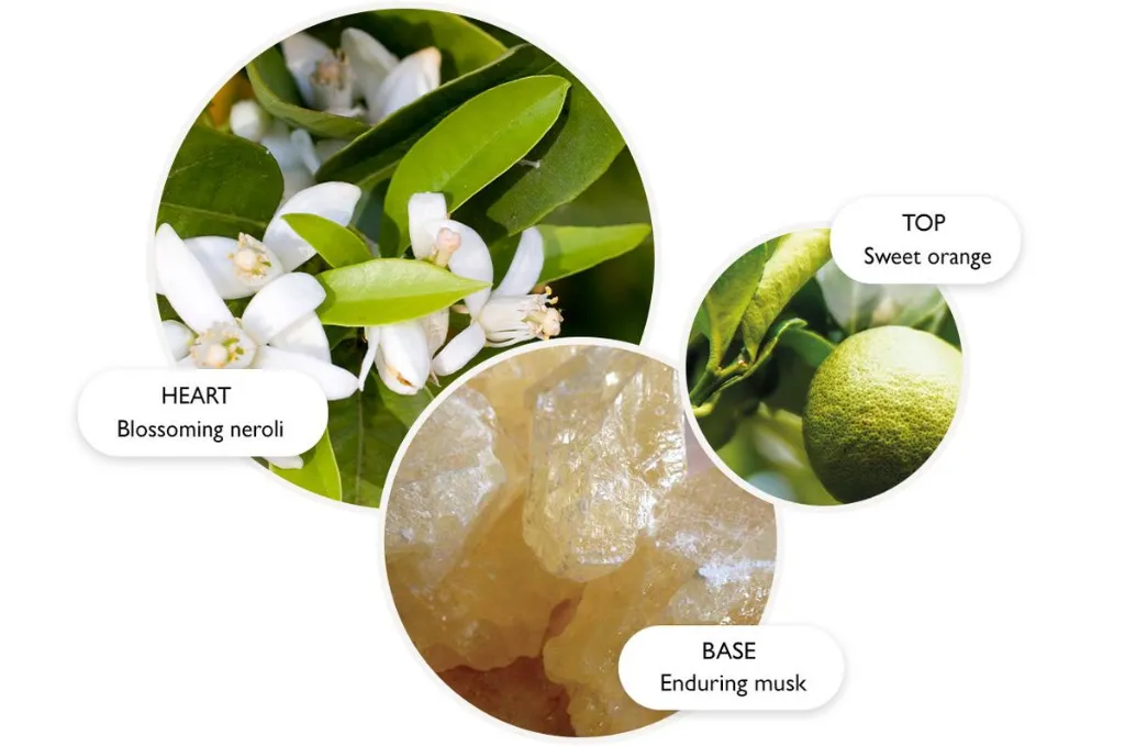 image - 2026-04-01T130233.443.webp