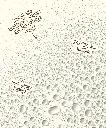 SB_2025_After_Sun_Spray_Swatch_2000x2400_47013224-3c57-4d56-a88d-723f74ac1b13_NOCROP_PDP.webp