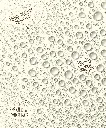 SB_2025_OG_Mist_Swatch_2000x2400_a23f1c03-dd90-4571-adca-e9c5a03f4df4_NOCROP_PDP.webp