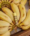 SB_Hawaii_Product-Lifestyle_Lip_SPF_Banana_01.webp