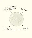 SB_2024_HAIR_Revitalizing_Shampoo_Swatch_NOCROP_PDP.webp