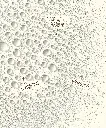 SB_2025_Sea_Spray_Swatch_2000x2400_f18ac910-d316-4dae-8733-e94e697ca286_NOCROP_PDP.webp