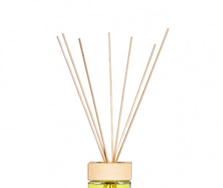 Acqua dell' Elba Spare Diffuser Reeds (M)