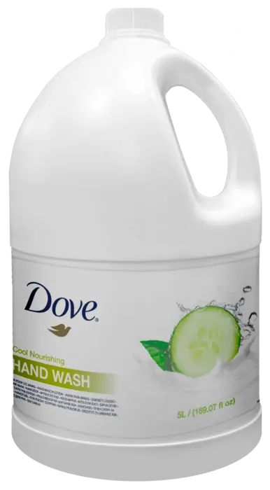 Dove Cool Moisture Hand Wash 
